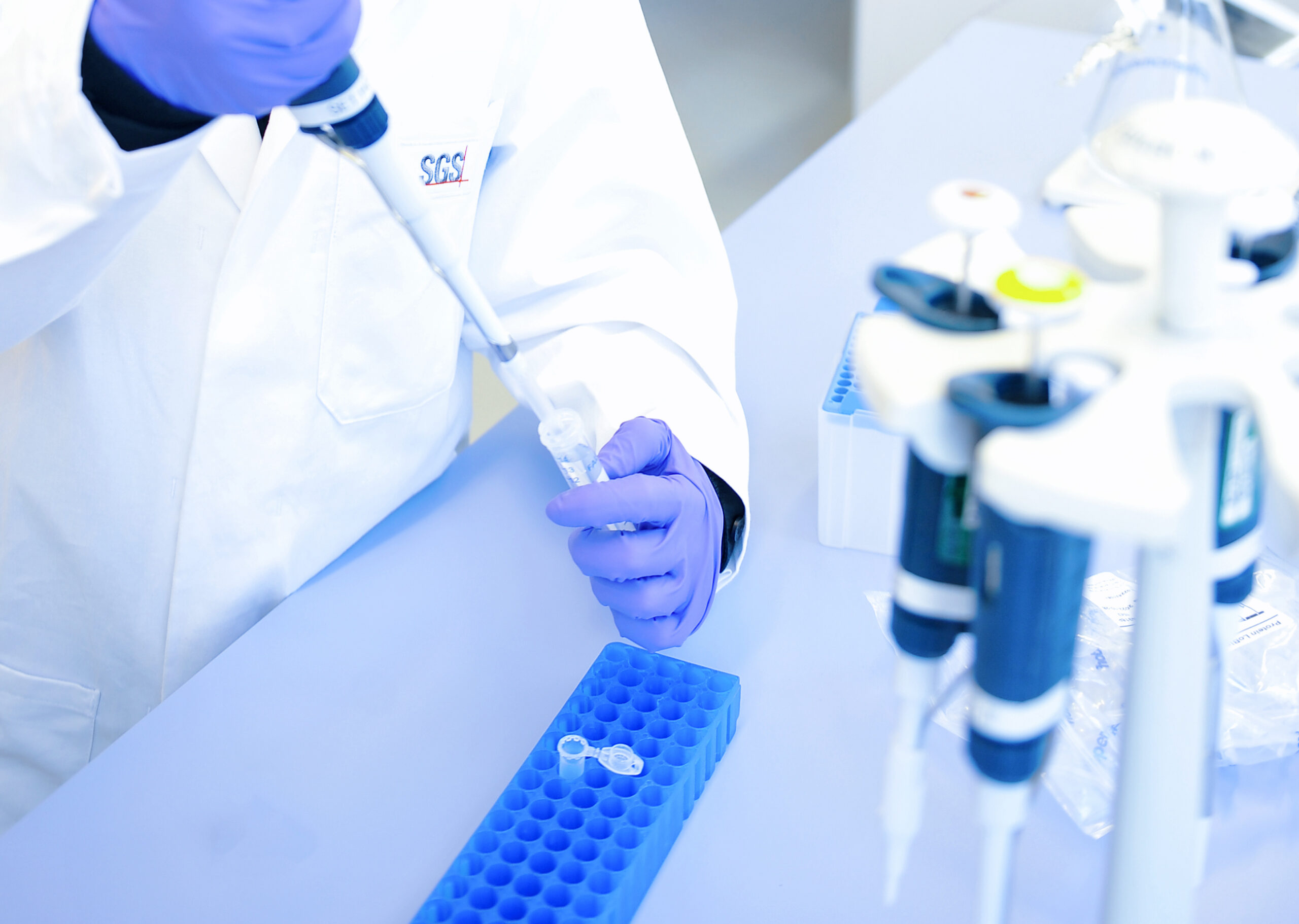 Biodegradability Tests For Businesses Developing Sustainable Products